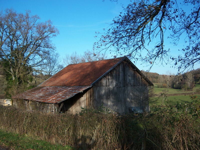 Image description