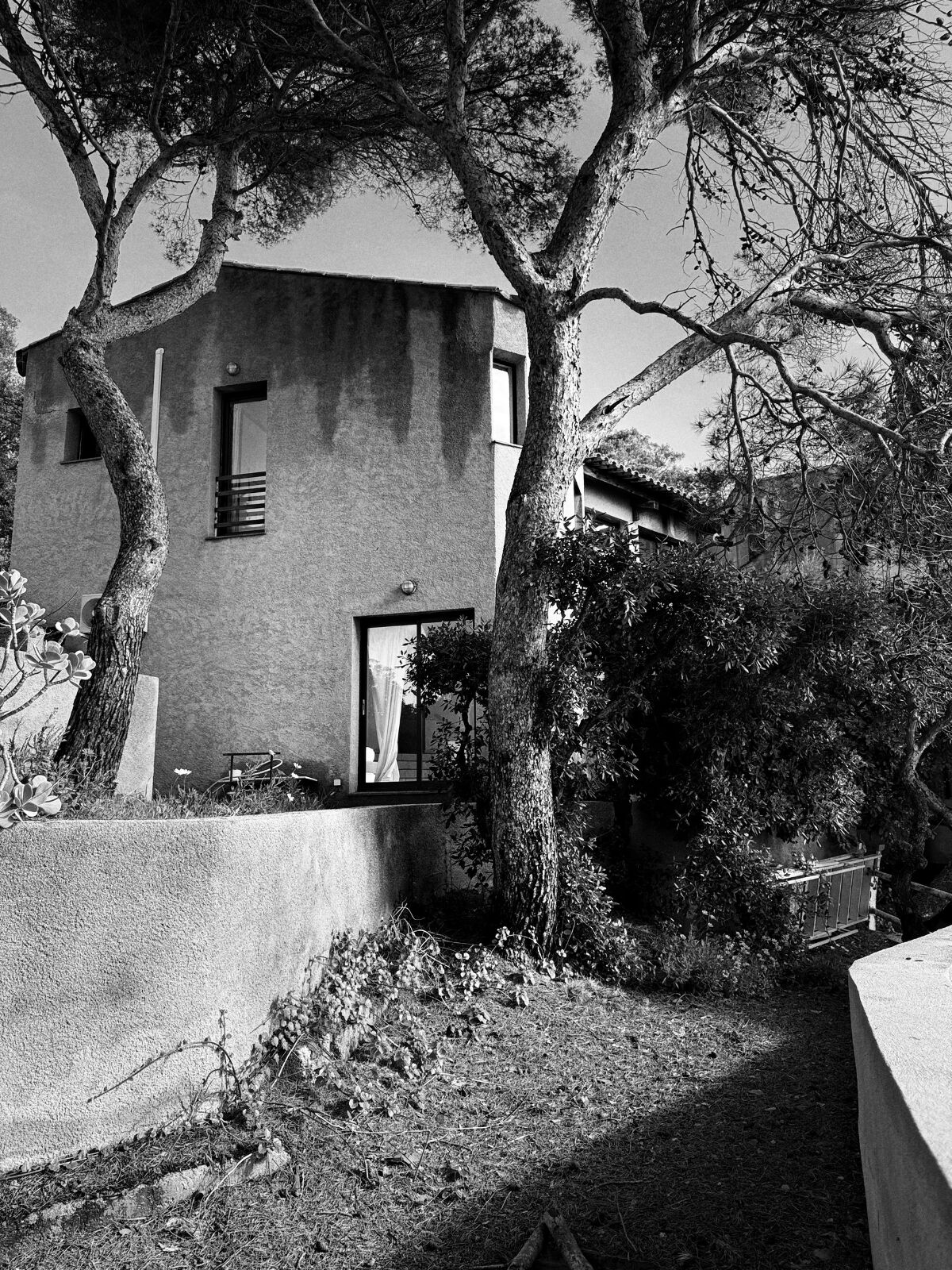 Image description