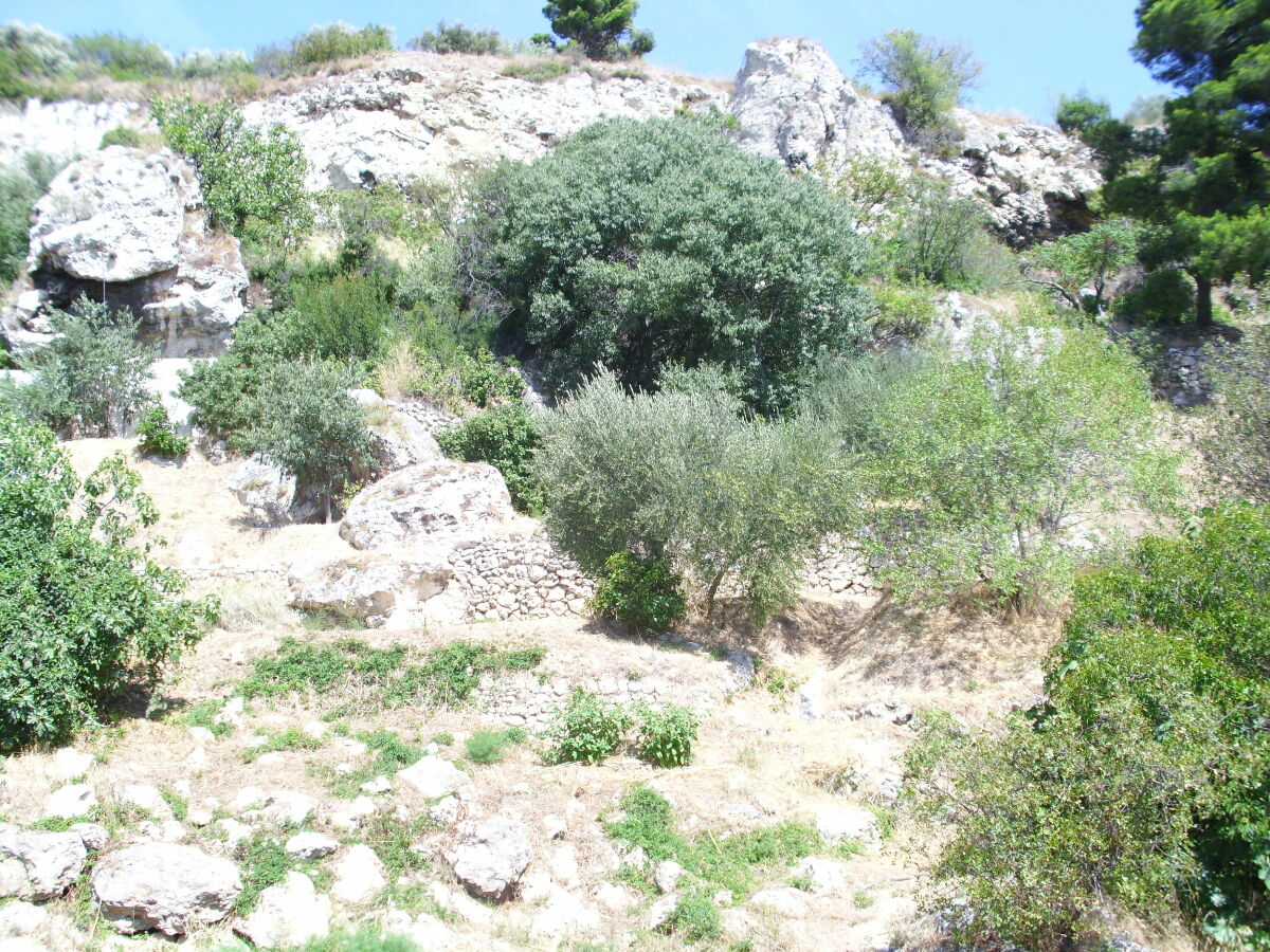 Image description