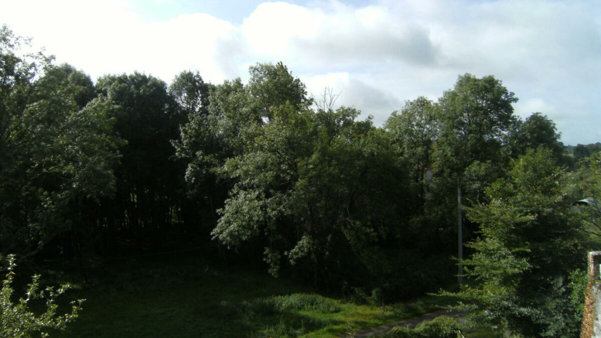 Image description