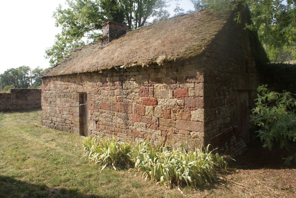 Image description