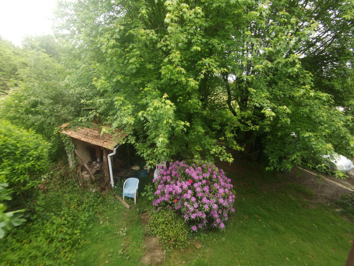 Image description
