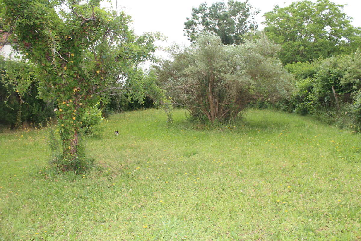 Image description