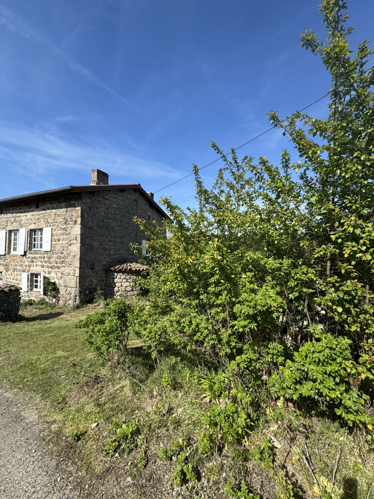 Image description