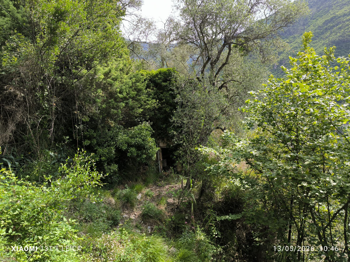 Image description