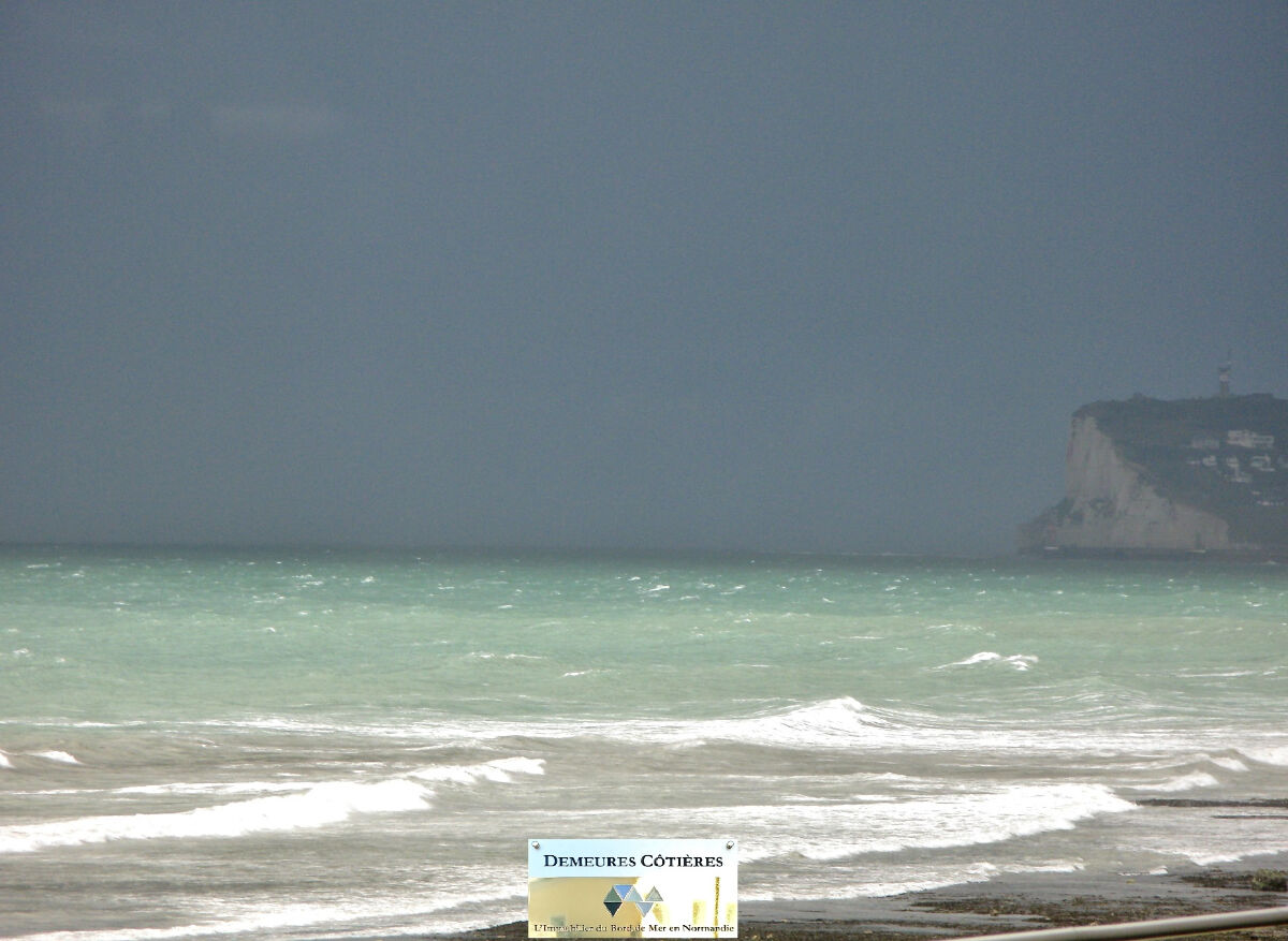 Image description