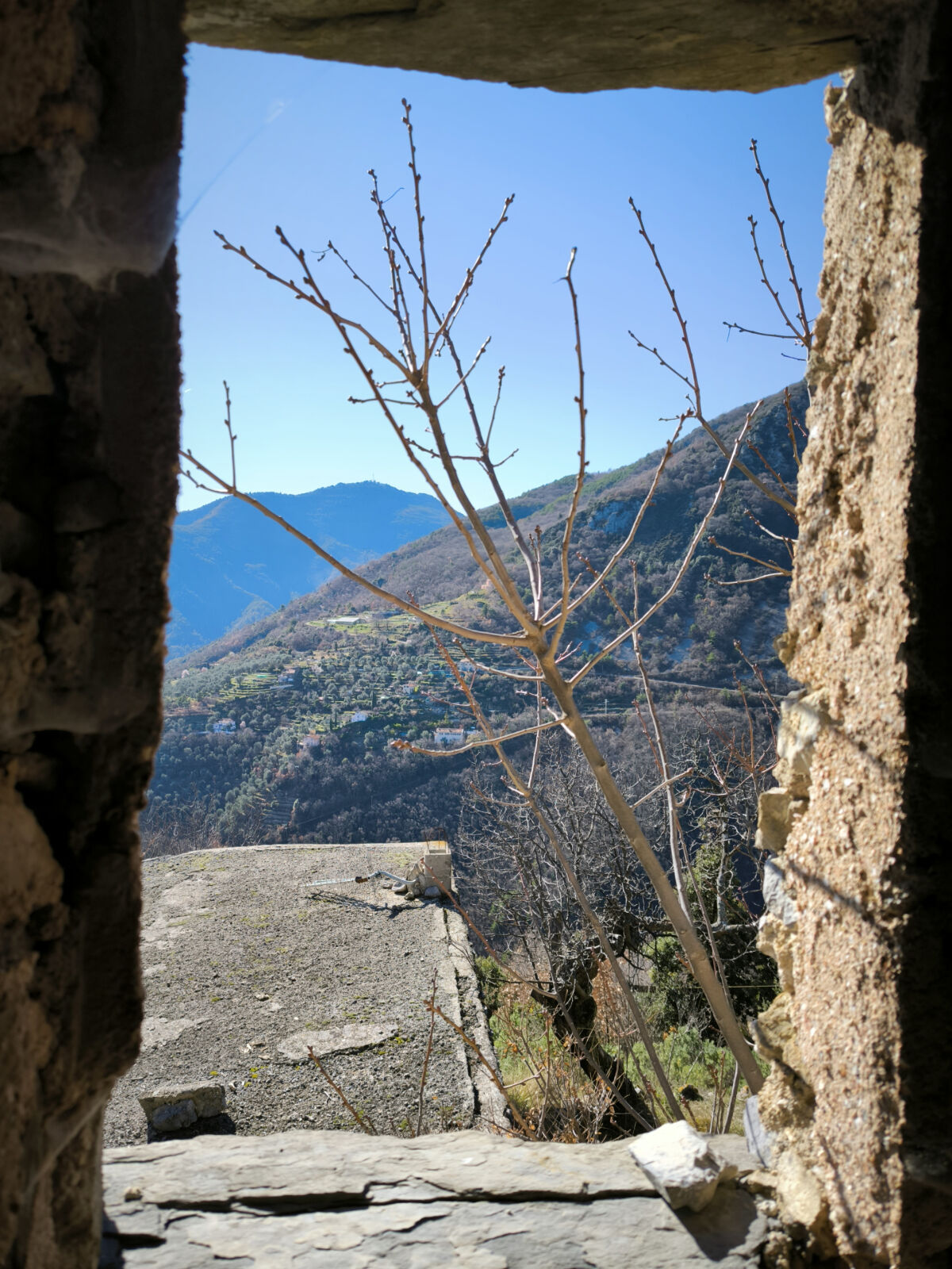Image description