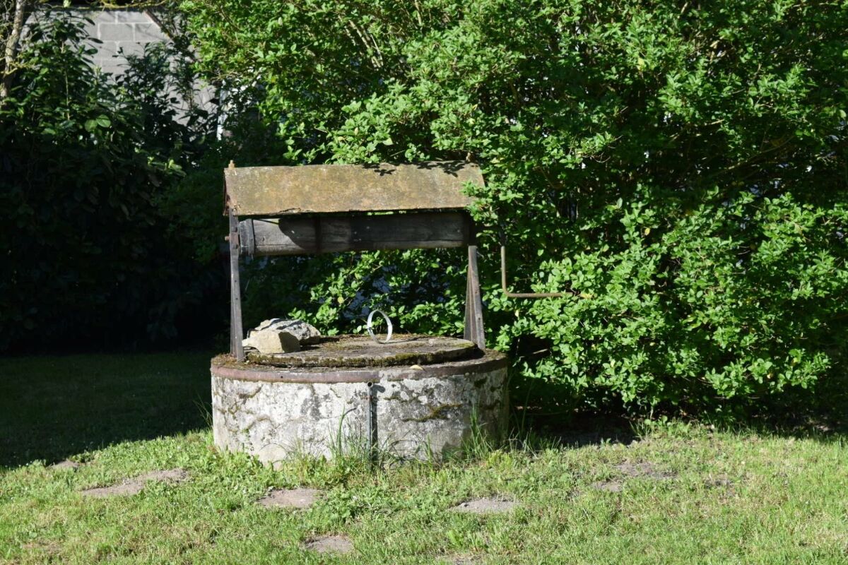 Image description