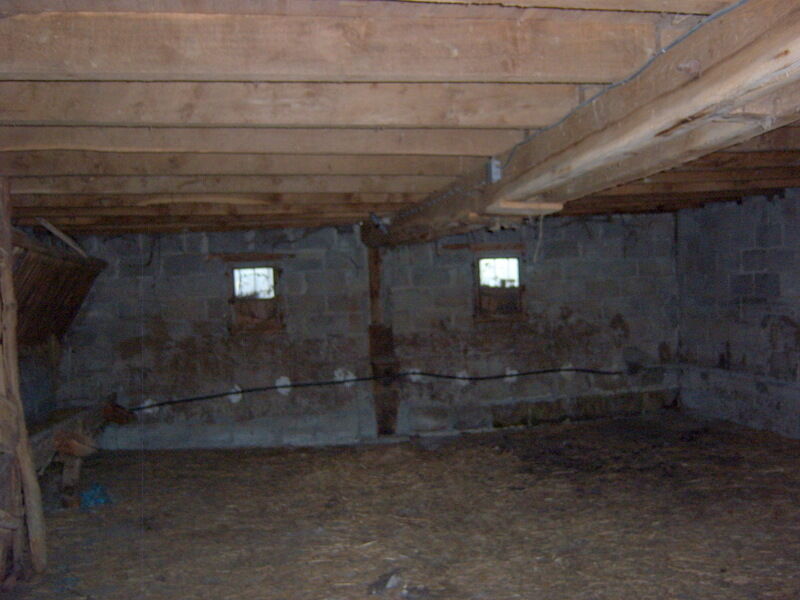 Image description