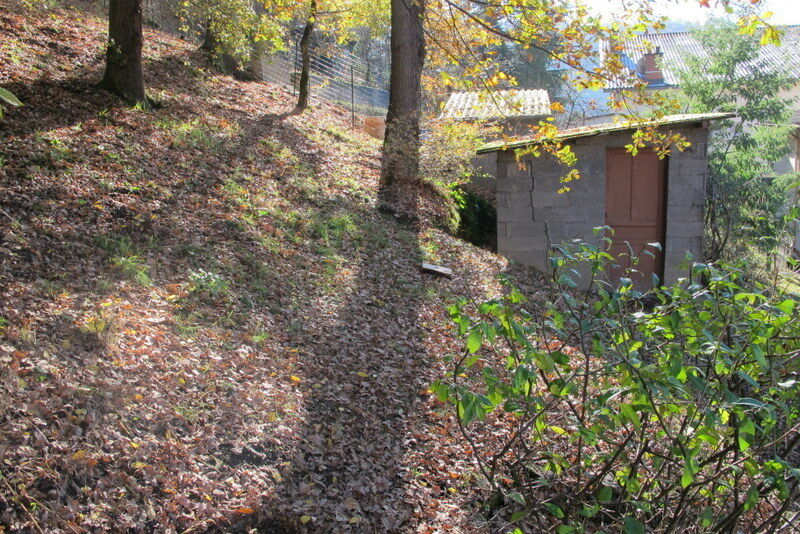 Image description