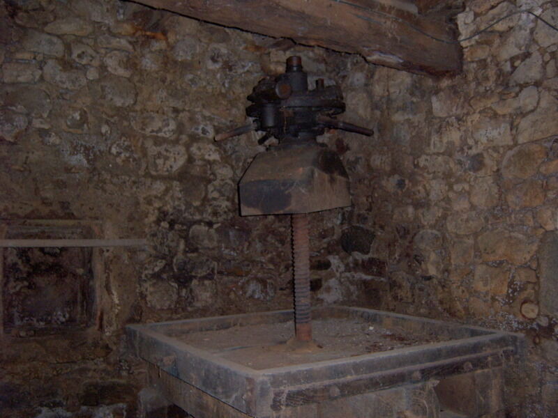 Image description