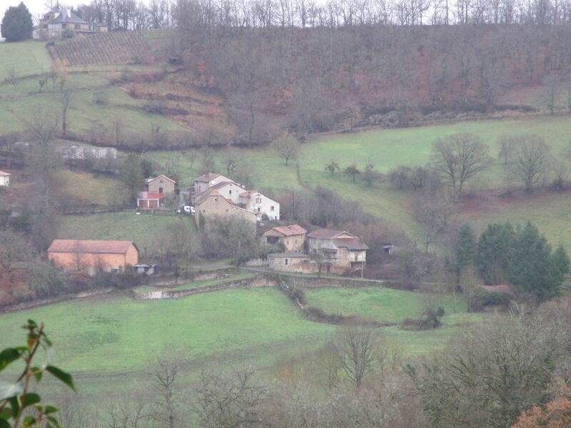Image description