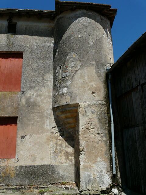 Image description
