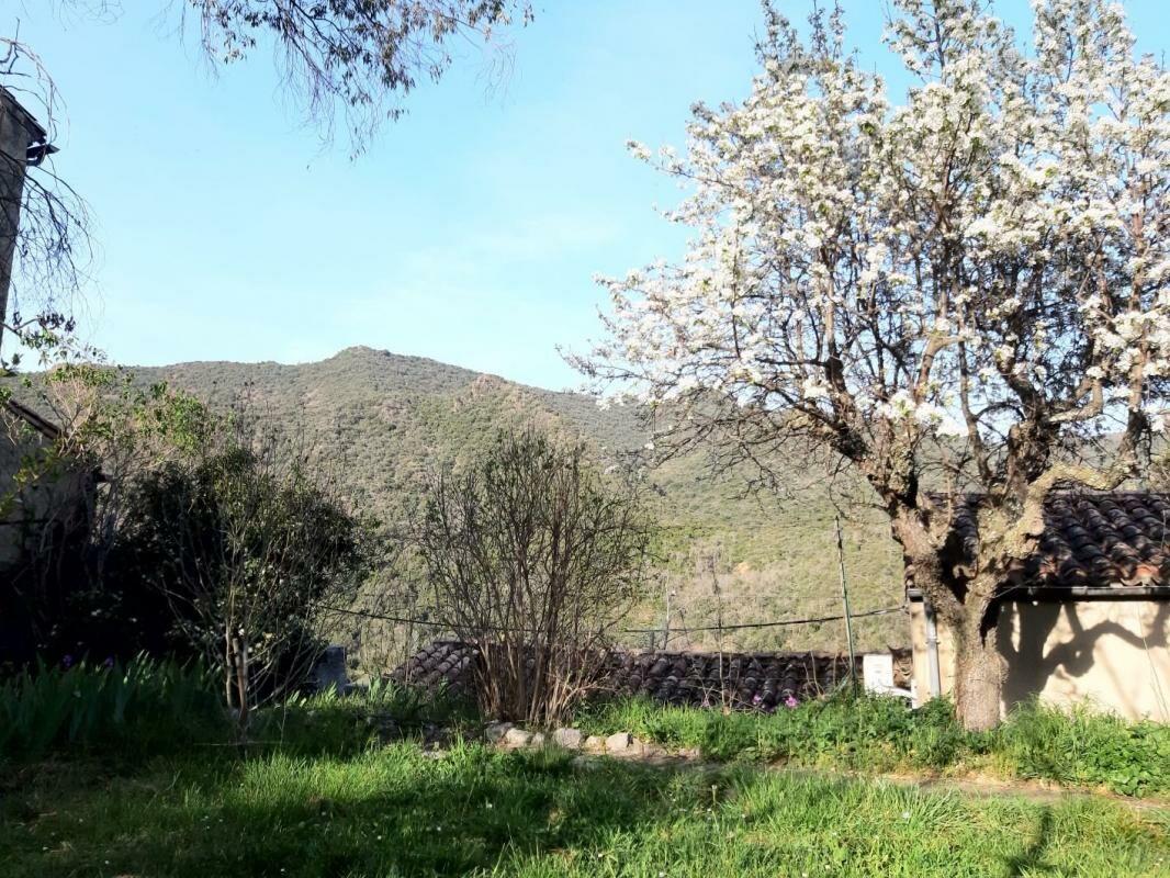 Image description